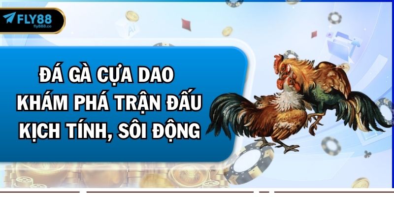 đá gà cựa dao