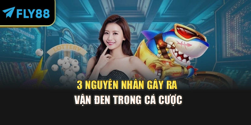 3 nguyên nhân gây ra vận đen trong cá cược