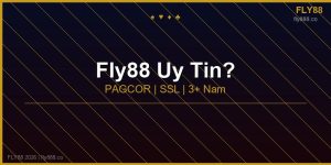 Fly88 có uy tín không đánh giá chuyên gia 2026